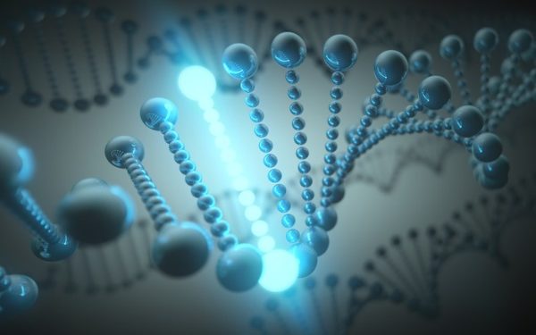 Image of brain connectors for neurofeedback treatment